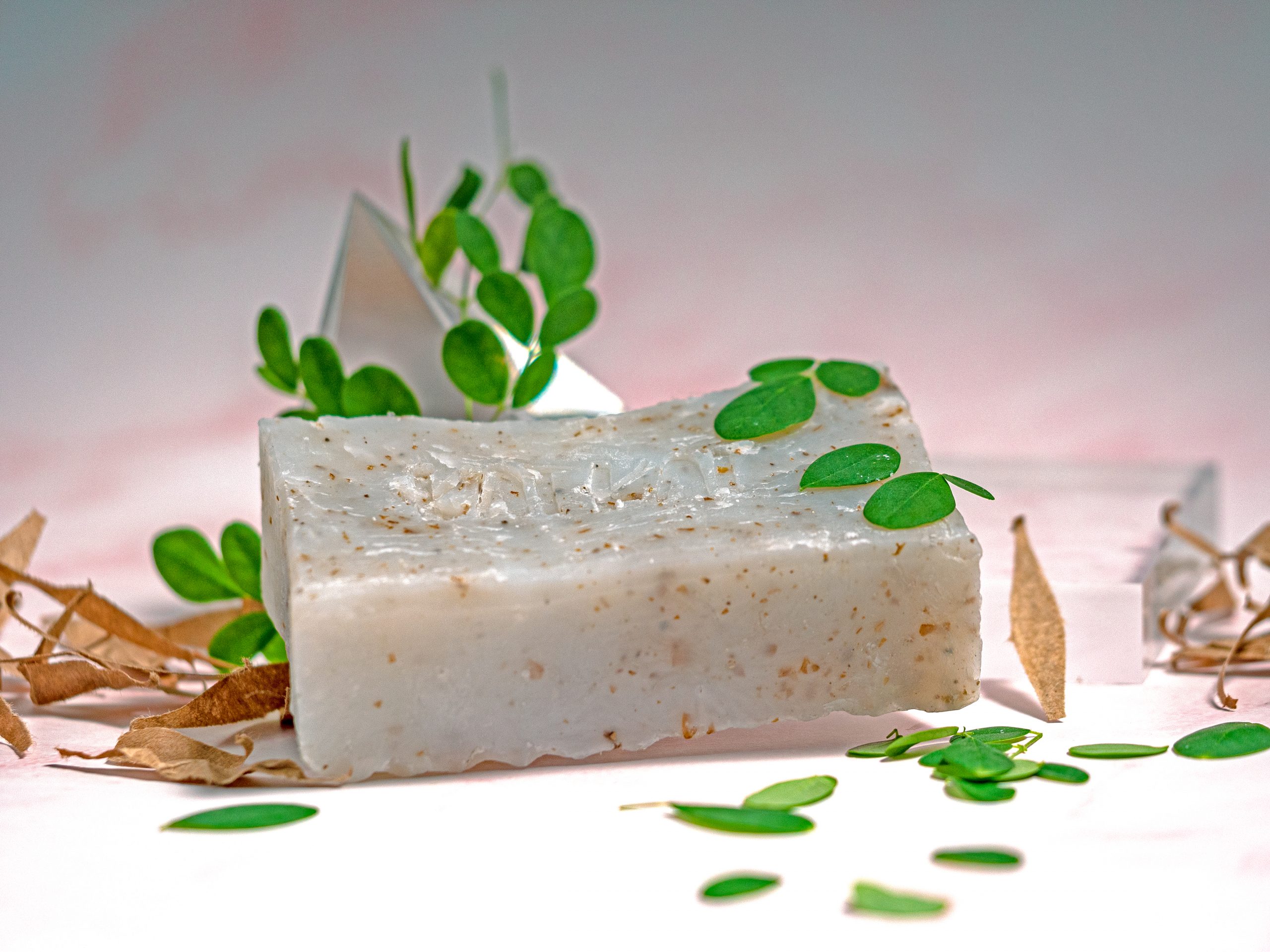 Moringa Soap Box (8 bars) - Image 3